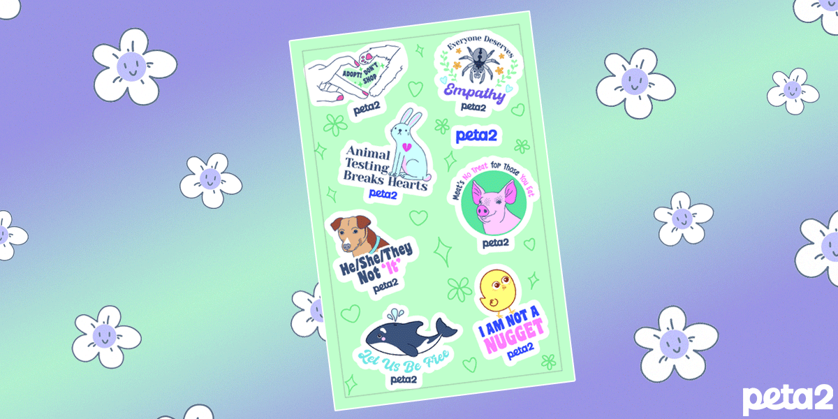 free-animal-rights-stickers-peta2