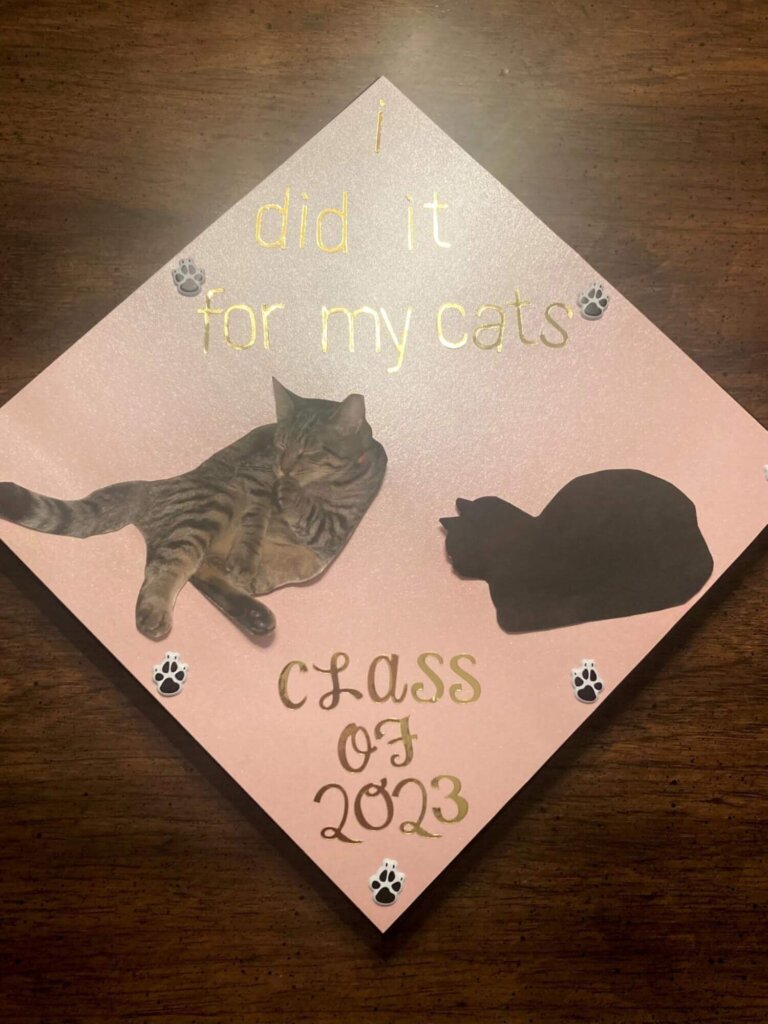 Image of peta2 Marketing Intern Amanda H's graduation cap featuring her cat