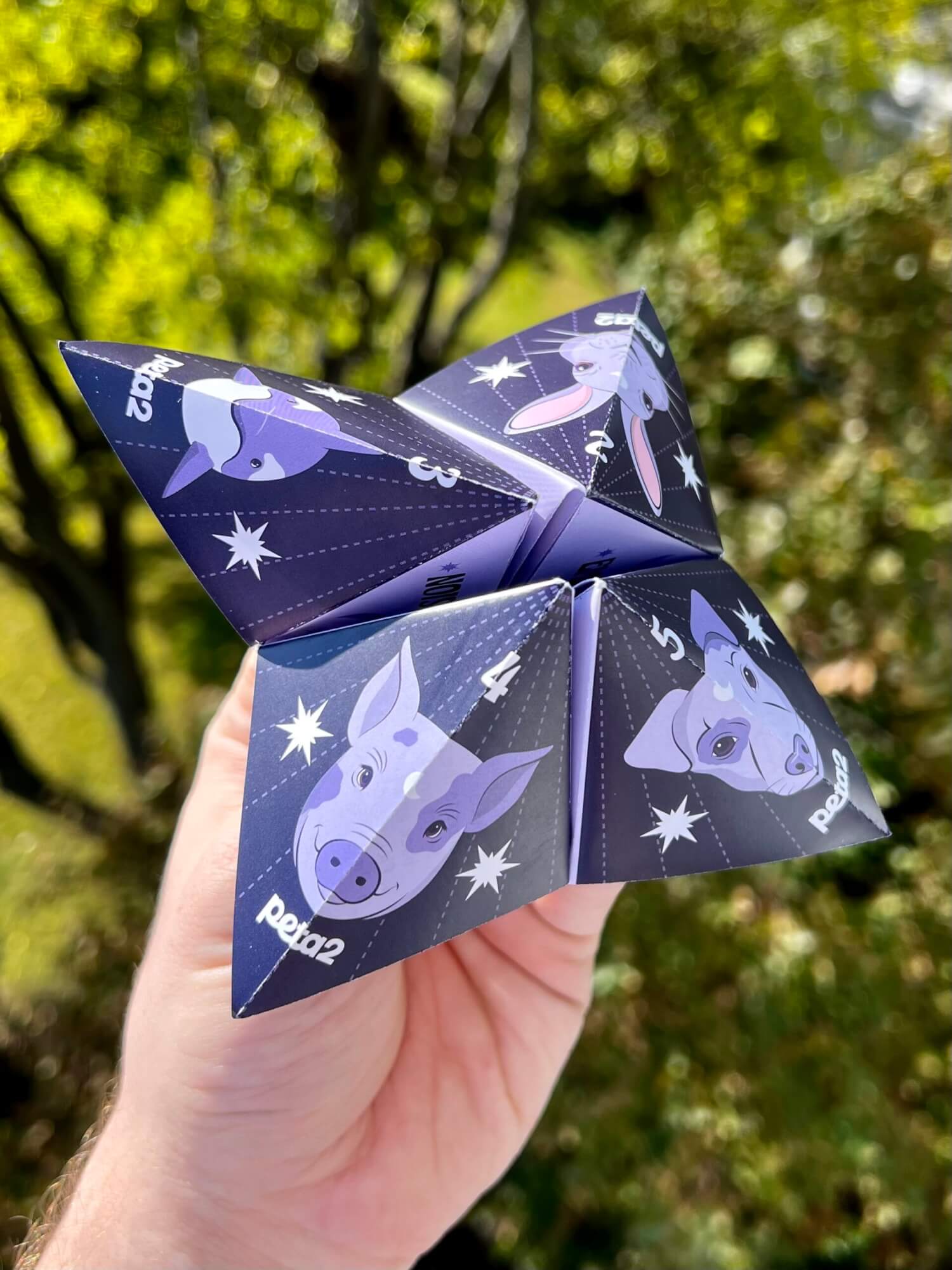 mission: fold and use this fortune teller | peta2