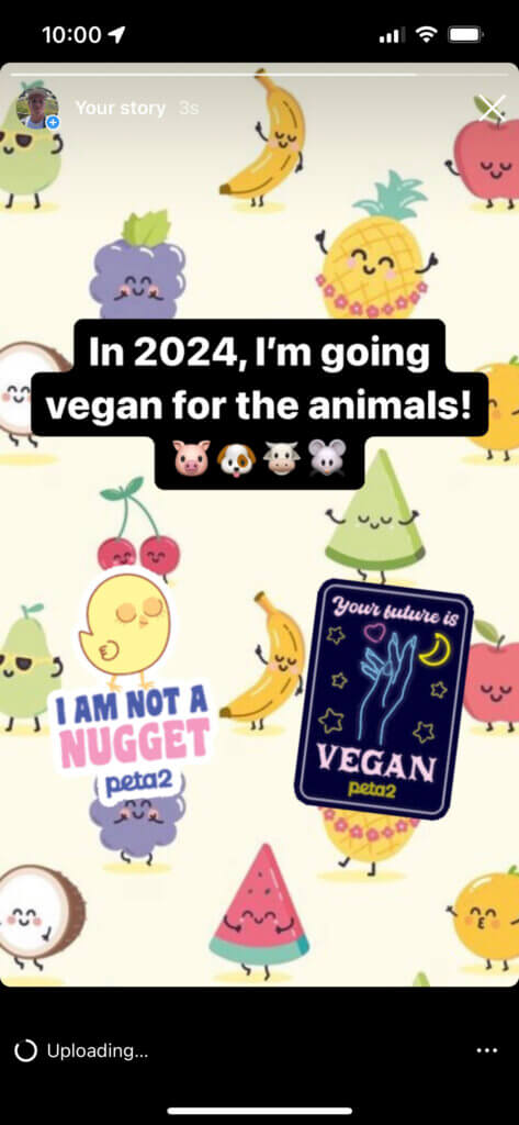 PETA-owned image of NY resolutions for animals from Mason M