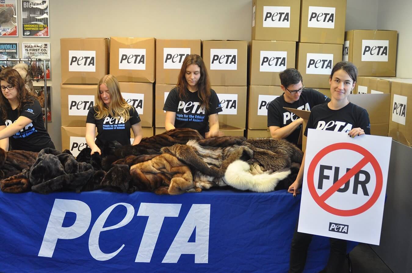 donate your old fur coat to peta | peta2