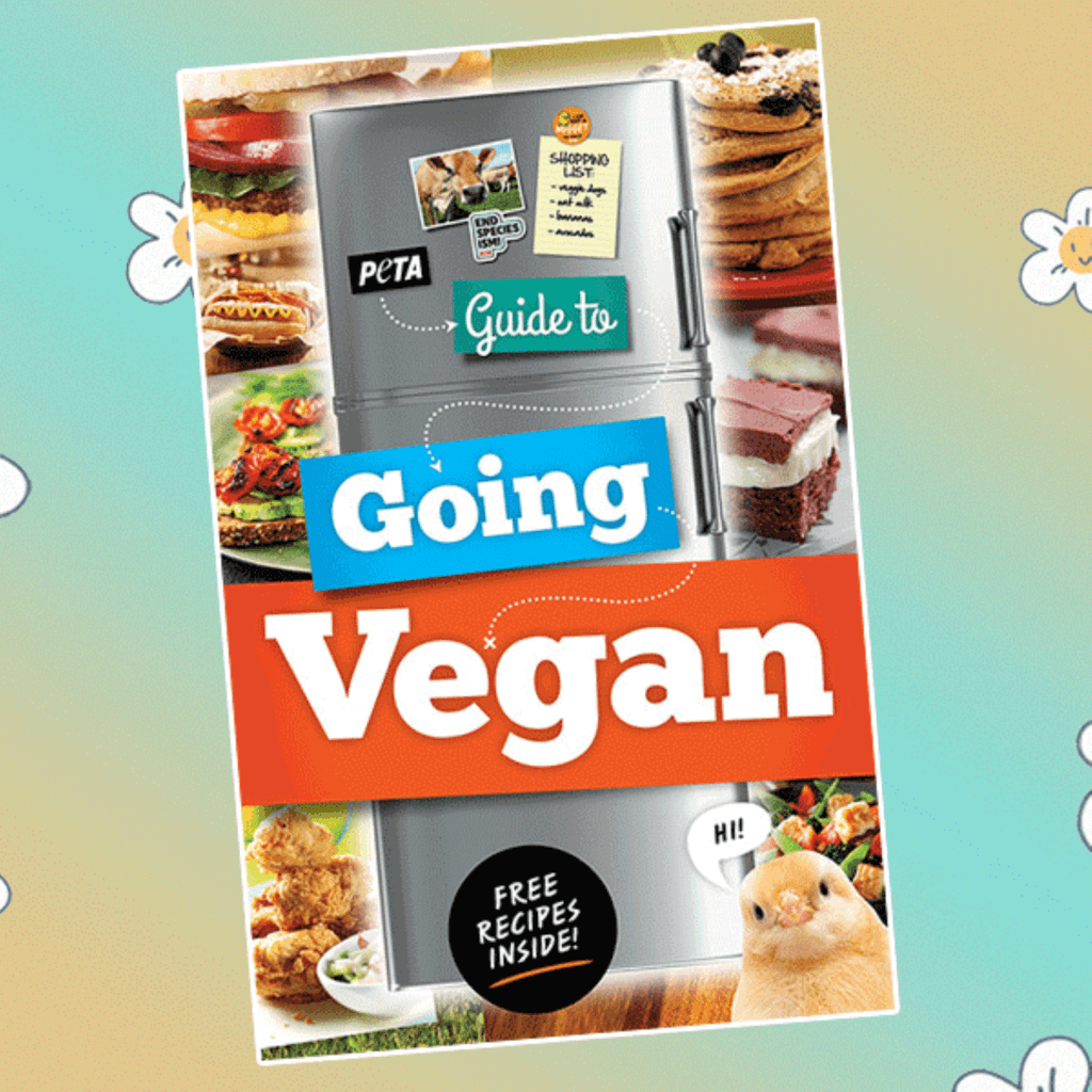 PETA-owned image for the text friend guide from https://www.peta2.com/free-vegan-guide/