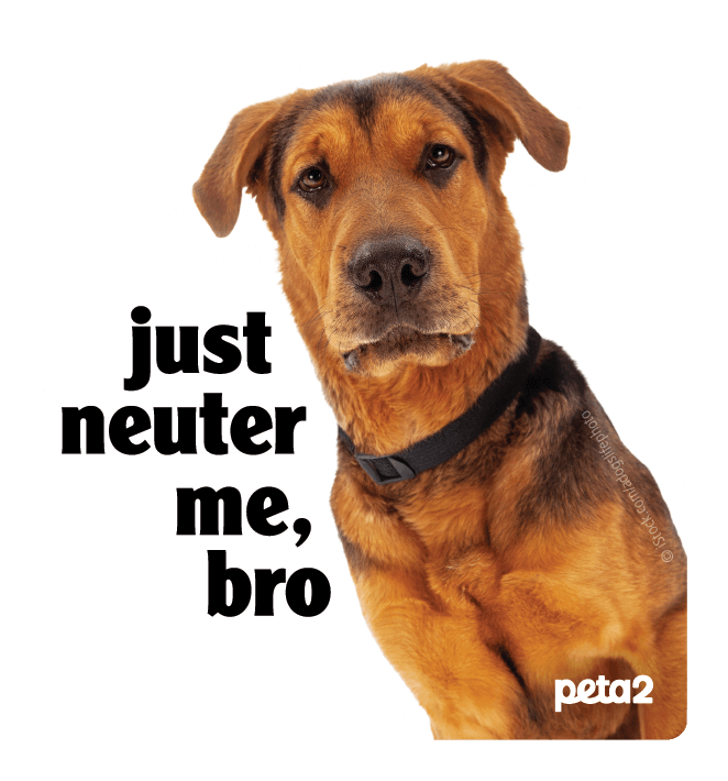 PETA-owned image for the neuter me sticker order form