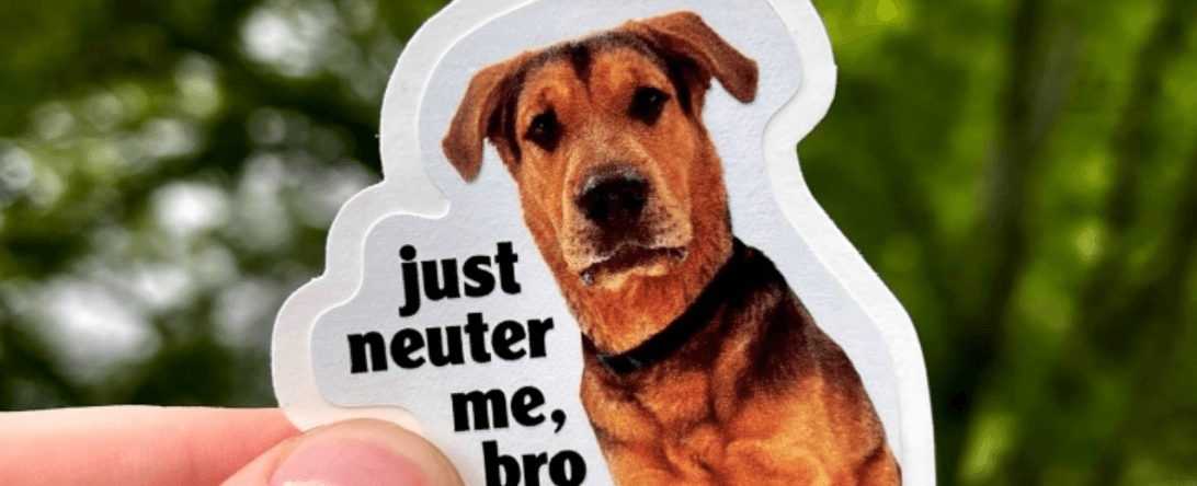 PETA-owned image for the neuter me sticker