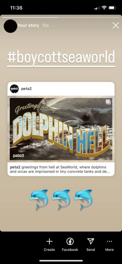 PETA-owned image for the postcards SeaWorld mission