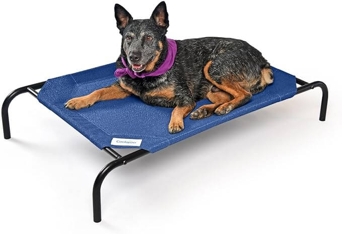 Image from Amazon for the pup beat heat article