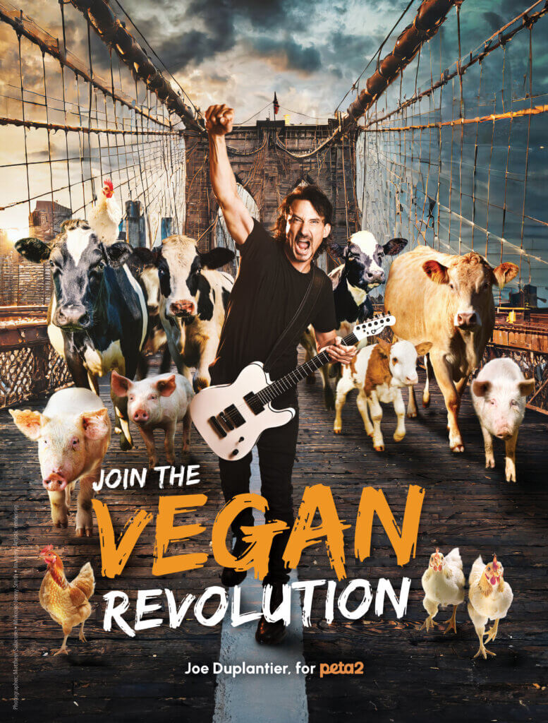 PETA-owned image for the Joe Duplantier article