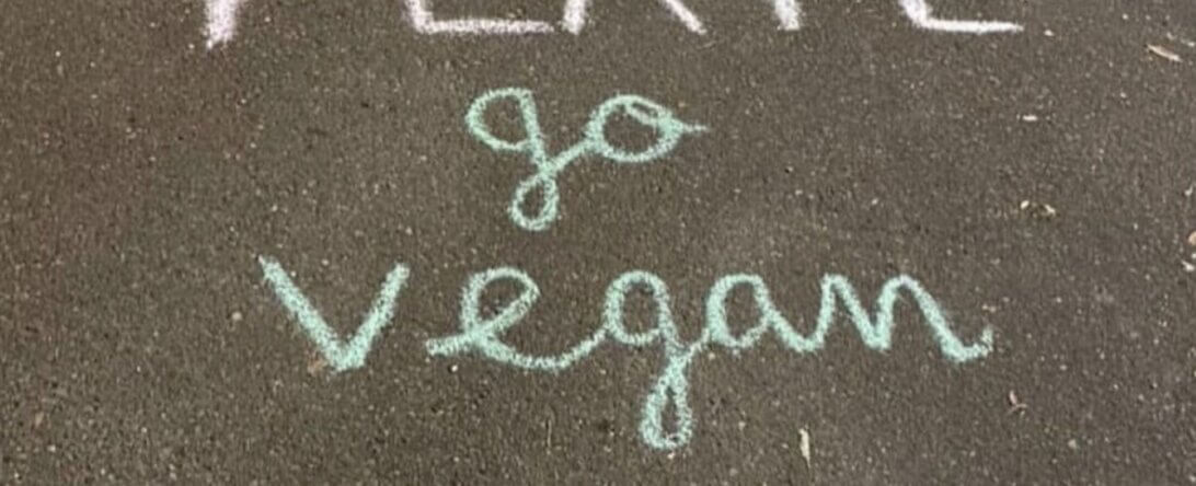 PETA-owned image for the animal rights chalk article