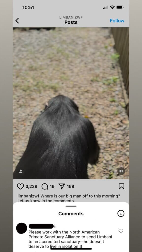 PETA-owned image for the Limbani chimpanzee mission