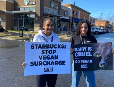 Starbucks Drops Vegan Milk Surcharge! See How Students Demanded It