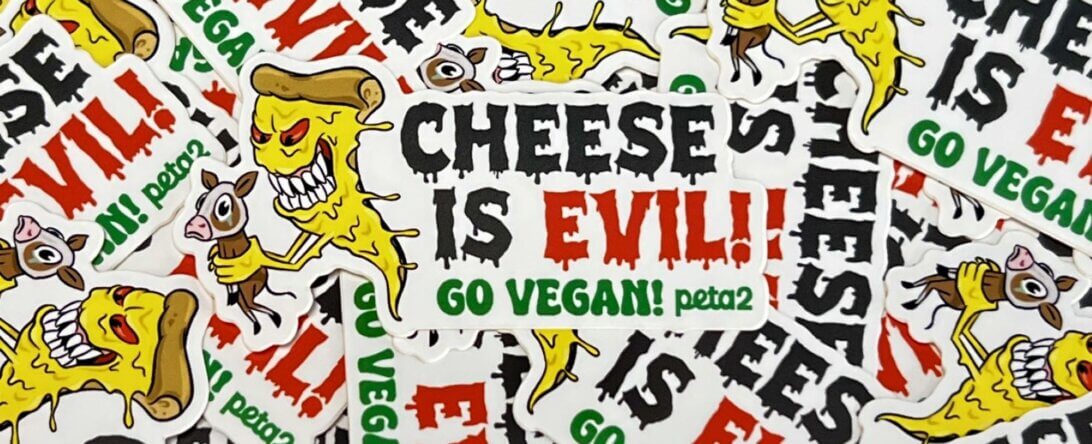 PETA-owned image for the cheese is evil page