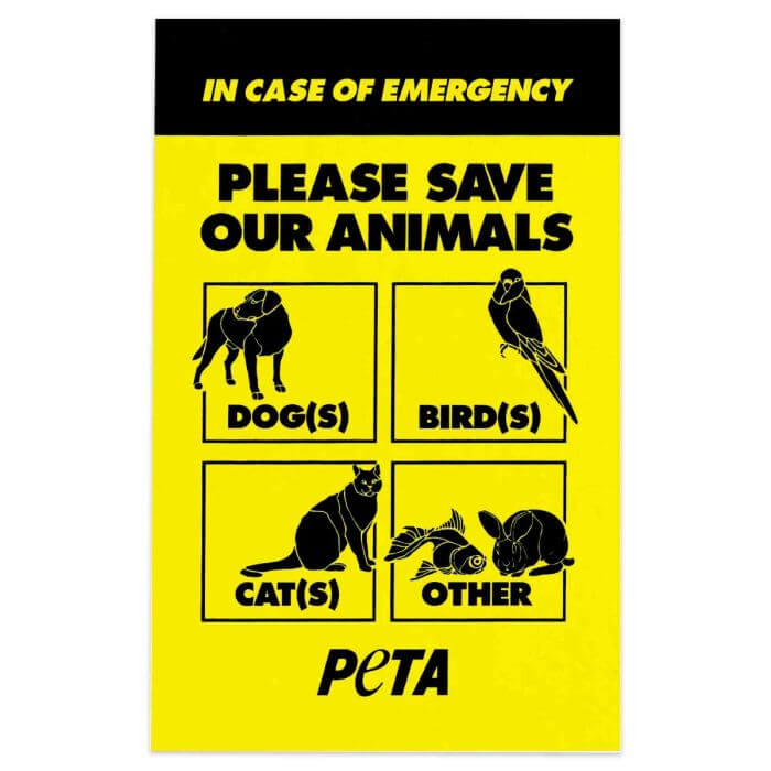 PETA-owned image for the disaster guide article