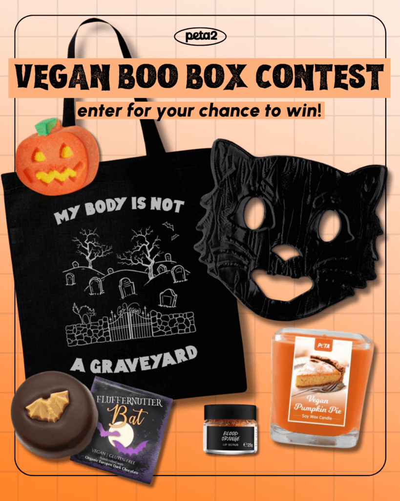 PETA-owned image for the vegan boo box contest form