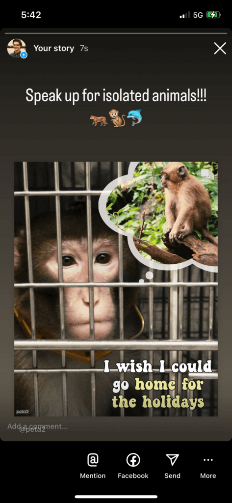 PETA-owned image for the animals go home mission