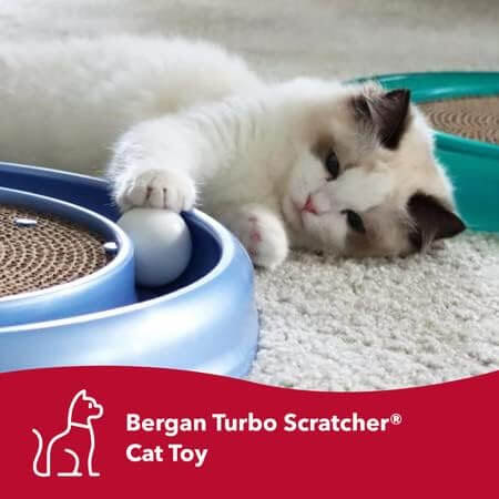 Image from Amazon website for the cat gifts article