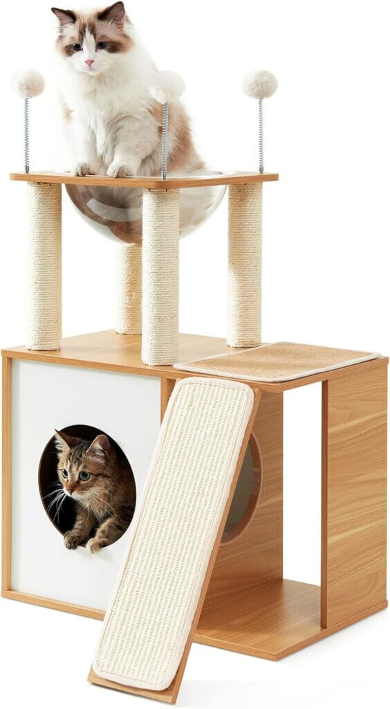 Image from Amazon website for the cat gifts article