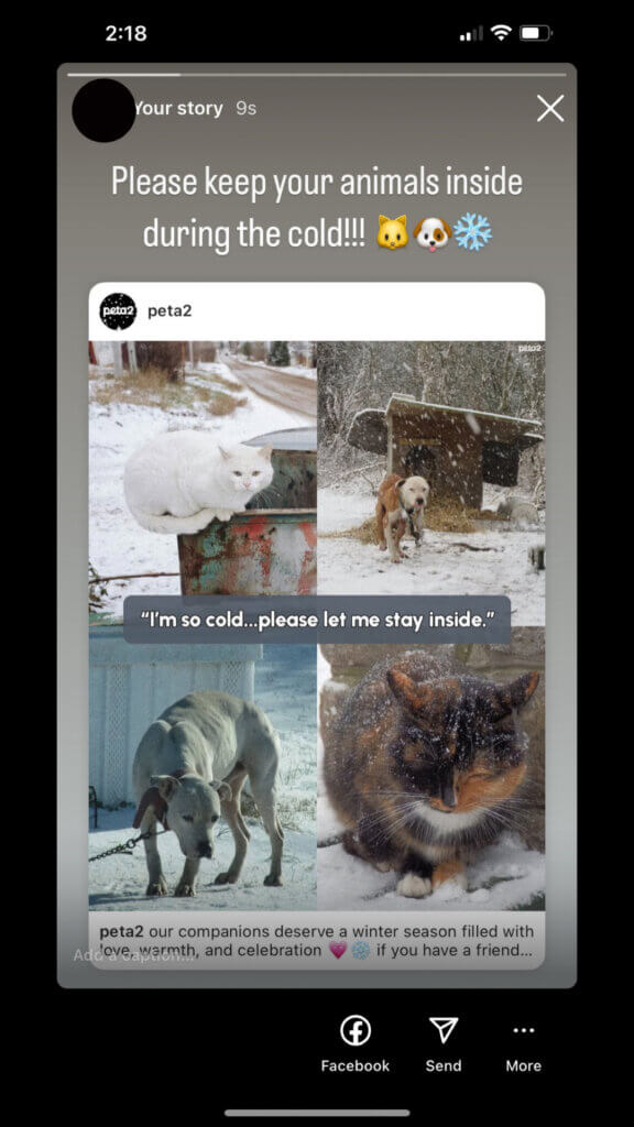 PETA-owned image for the cold animals mission