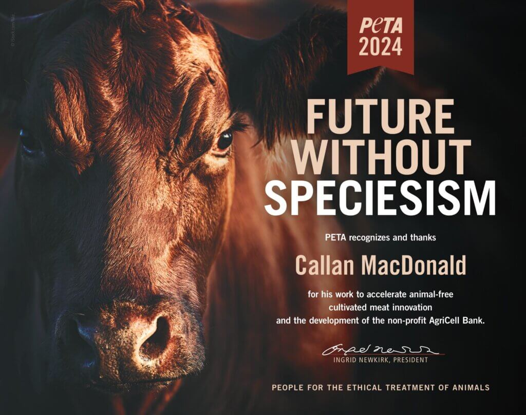 PETA-owned image for the future without speciesism article