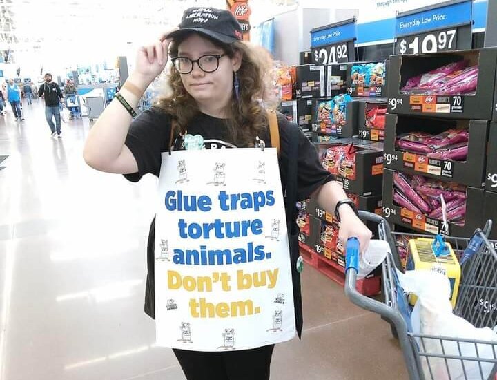 Tabby D. protesting glue traps Hero to Animals