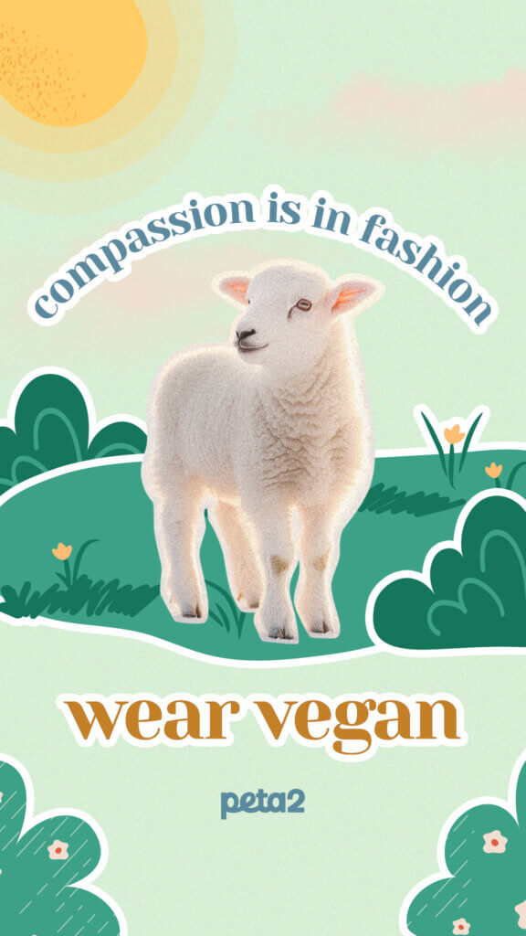 PETA-owned image for the Wear Your Own Skin wallpaper mission