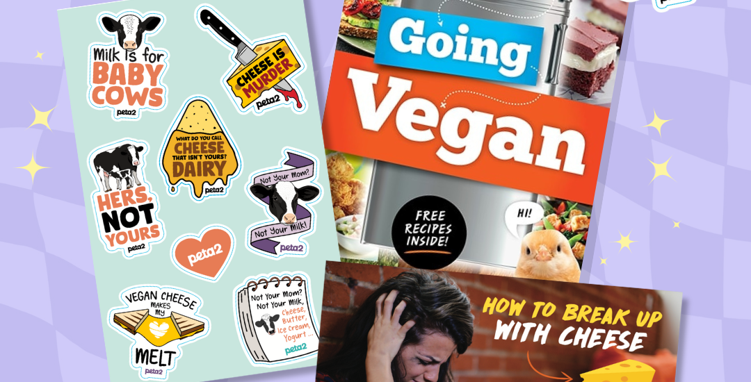 PETA-owned image for the breakup box page