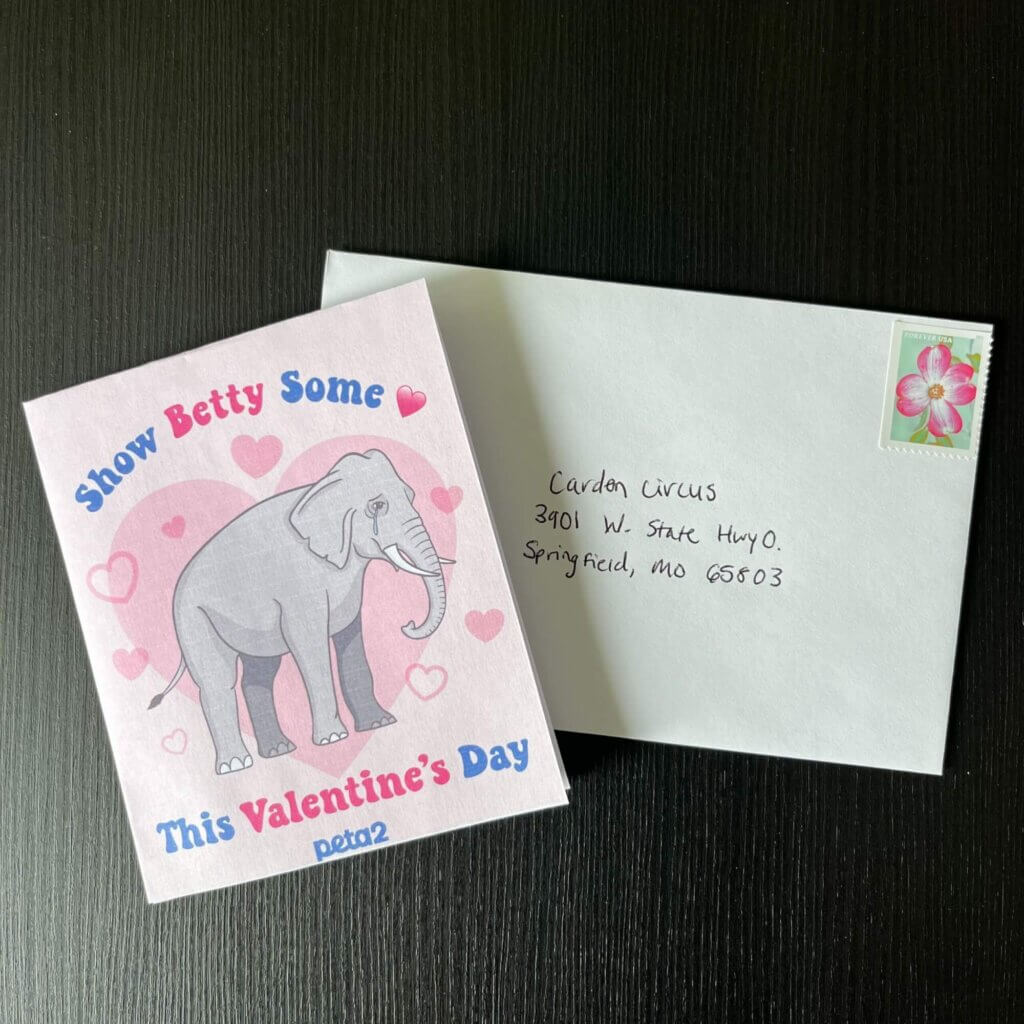 PETA-owned image for the vegan galentine's day article