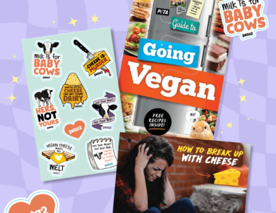 PETA-owned image for the breakup box page